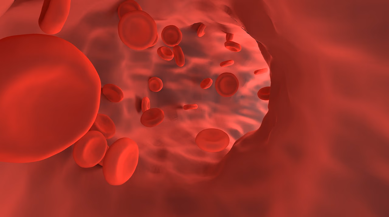Closing the gap between in-vitro and in-vivo blood flow quantification using vector flow imaging in stents promoting swirling flow
