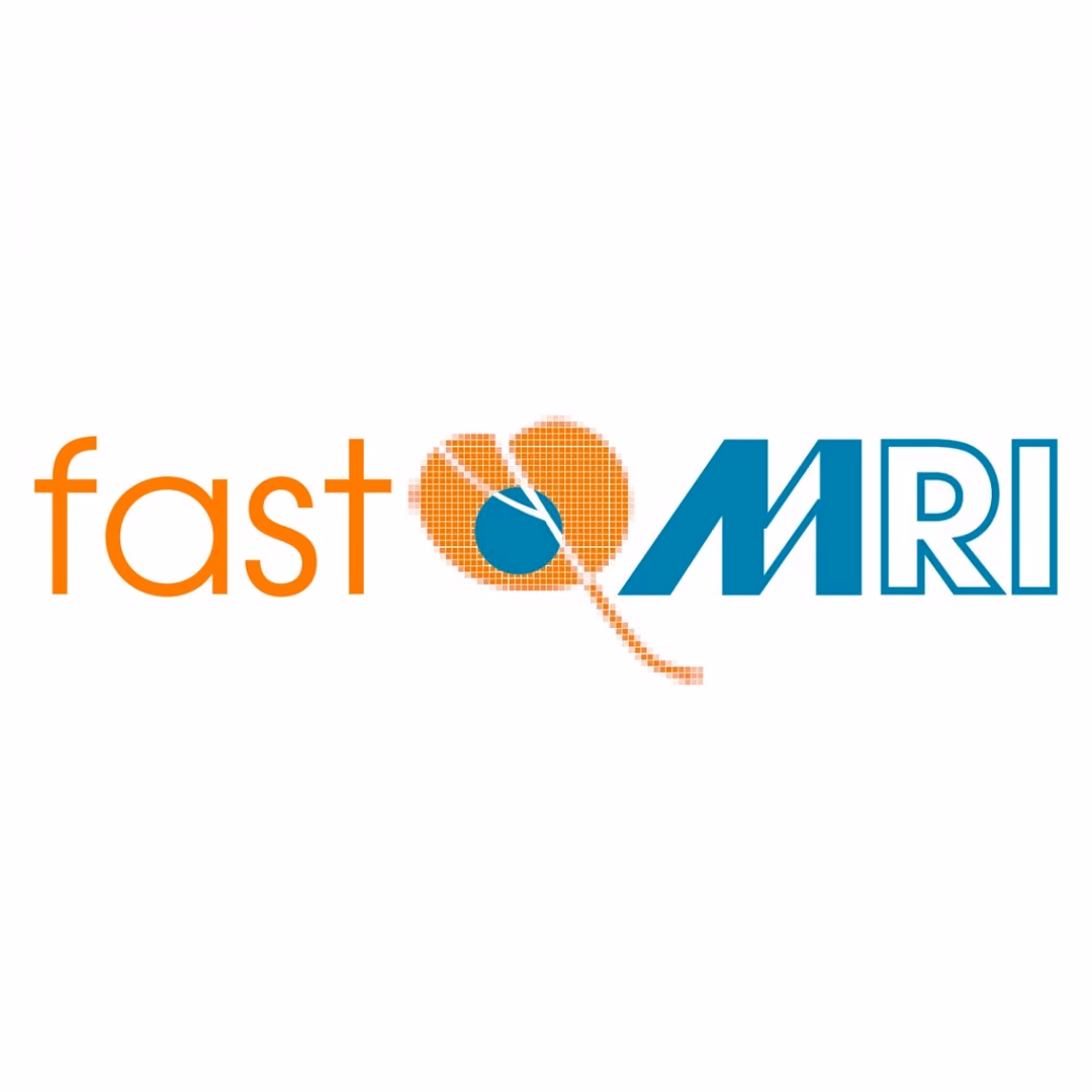 Speeding up MRI with AI: fast MRI applications in prostate cancer