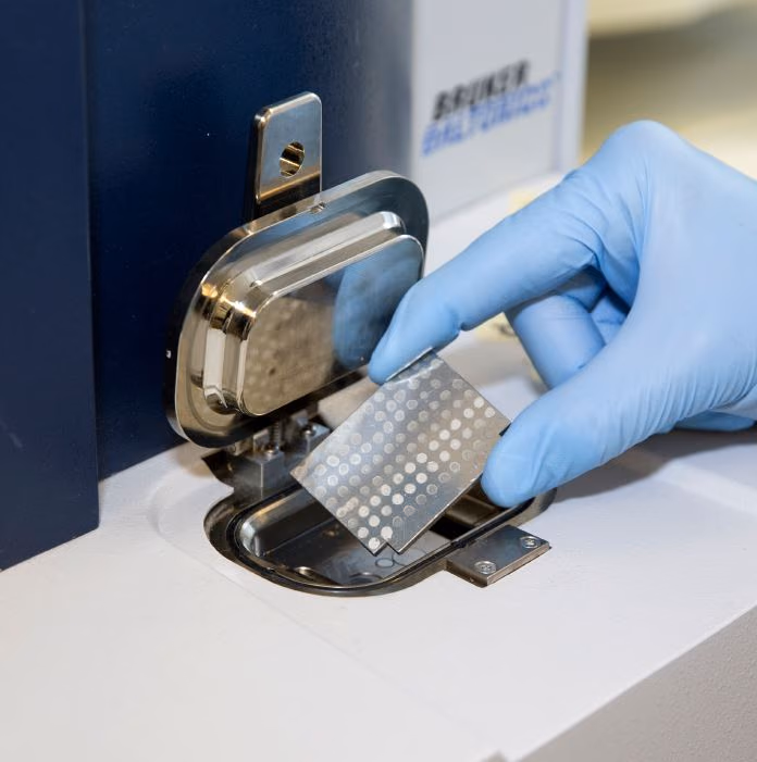 Theyeasts.org, the on-line tool to IDentify Clinically relevant Yeasts (IDCY)