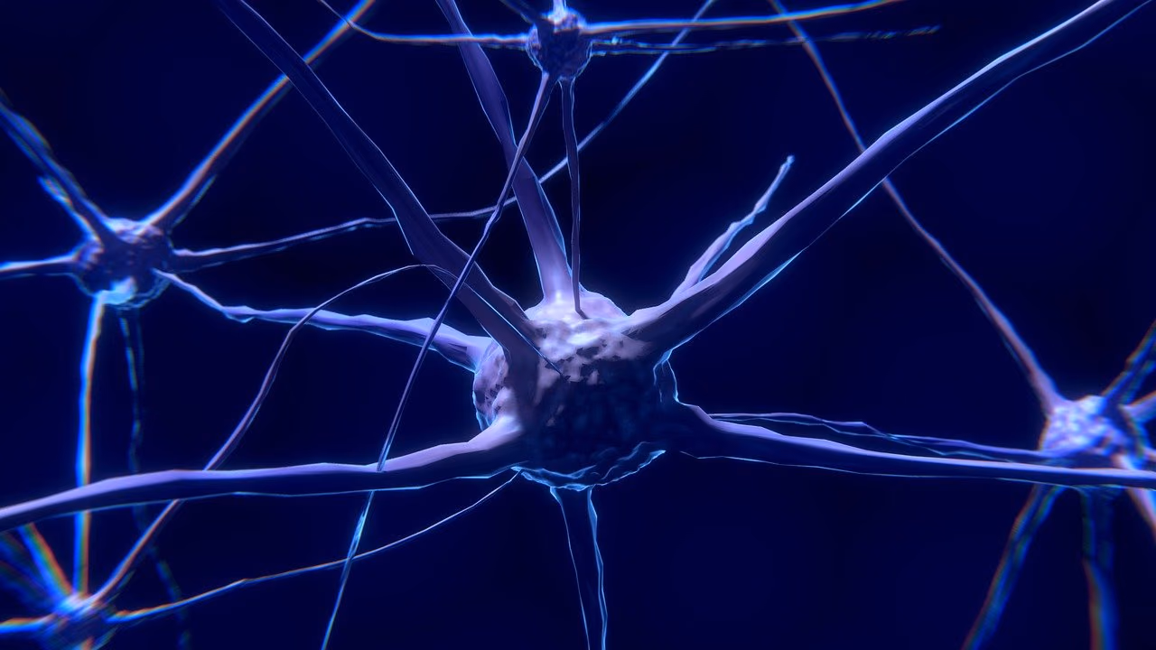DEFEAT-AD: Deep and Frequent Clinical Evaluation in Alzheimer’s Disease