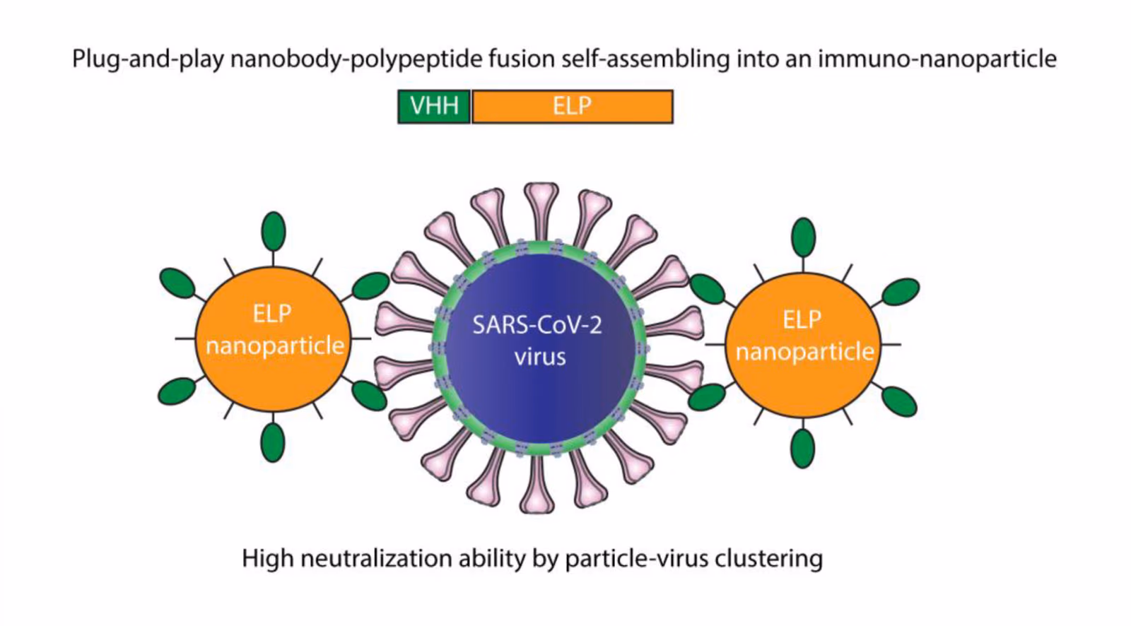 Development of an elastin-like peptide based theranostic platform technology to fight SARS-CoV-2