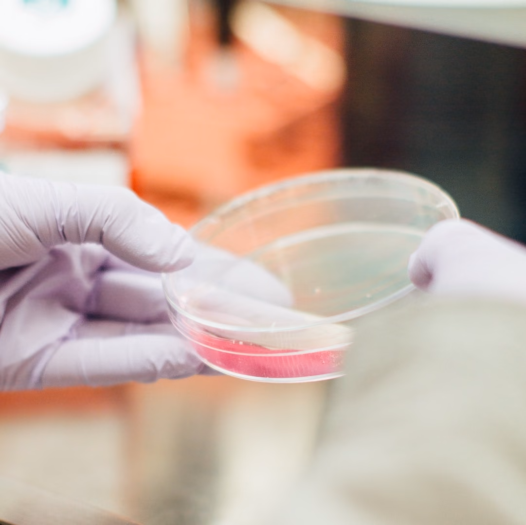Development and validation of the next generation of Organoid medium (NEGOM 2.0)