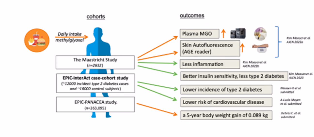 Impact of Diet, Food Components and Food Processing on Body Weight Regulation and Overweight Related Metabolic Diseases (METADIS)
