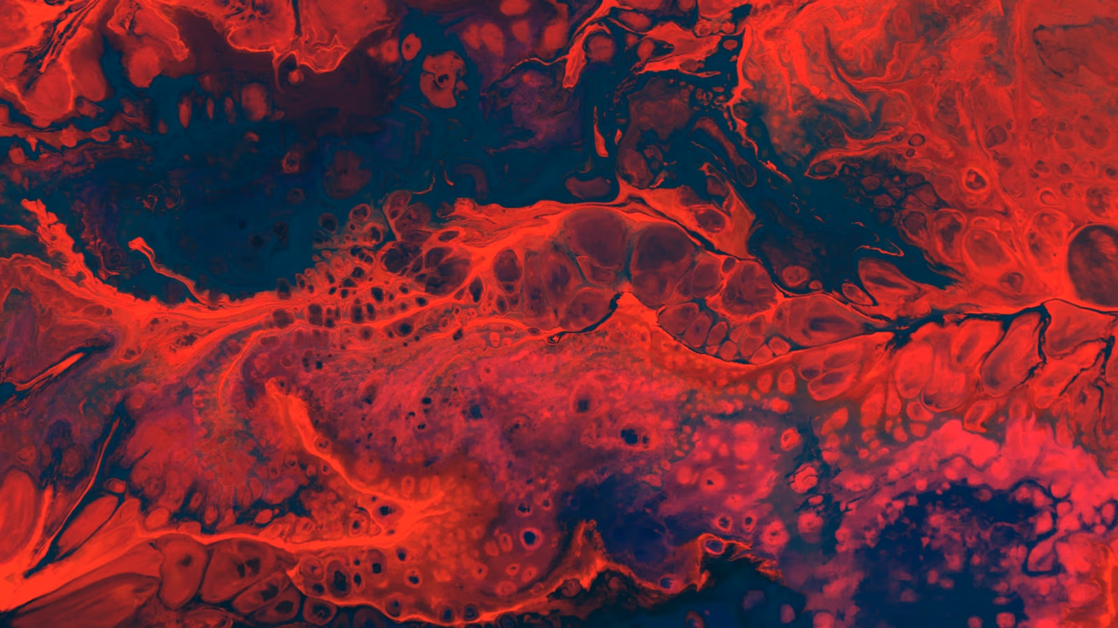 Engineering procoagulant variants of blood coagulation factor X for therapeutic purposes