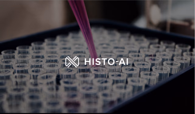 Artificial Intelligence for HISTOpathological images as the next step towards personalised immunotherapy (HISTO-AI)