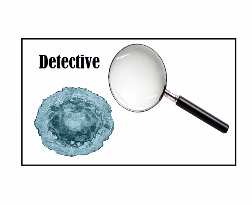 The Detective study: detection and analysis of disease-driving T and B cell responses in tissues of patients with autoimmune disease for development of cell depletive treatment
