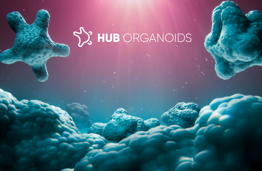 Patient Derived tumor Organoid Immuno-Oncology (PDO-IO) model development for combinatorial immuno-oncological (IO) treatment evaluation