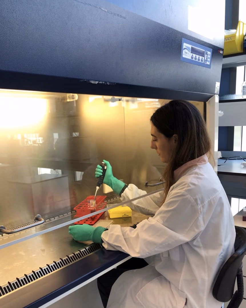 Lab