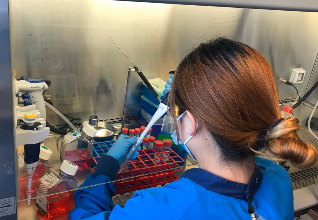 Developing and optimising inhibitors for next-generation immuno-oncology (NextIO)