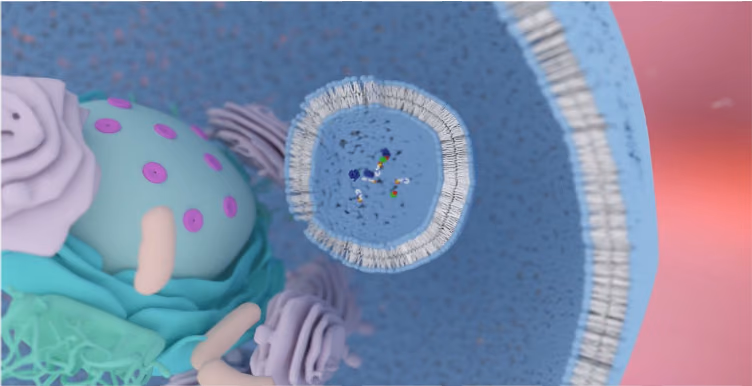 iTOP gene editing technologies for genetic muscle disease