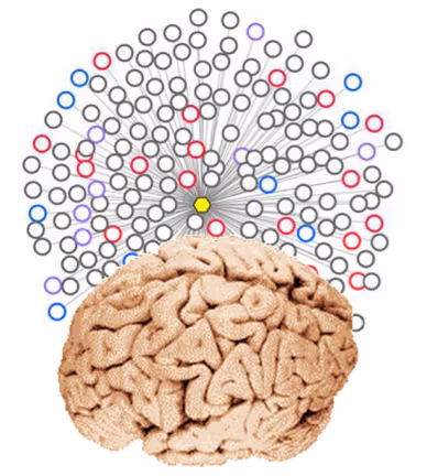 DYNA-CELL-EPI: Dynamic cell states in epilepsy associated developmental disorders