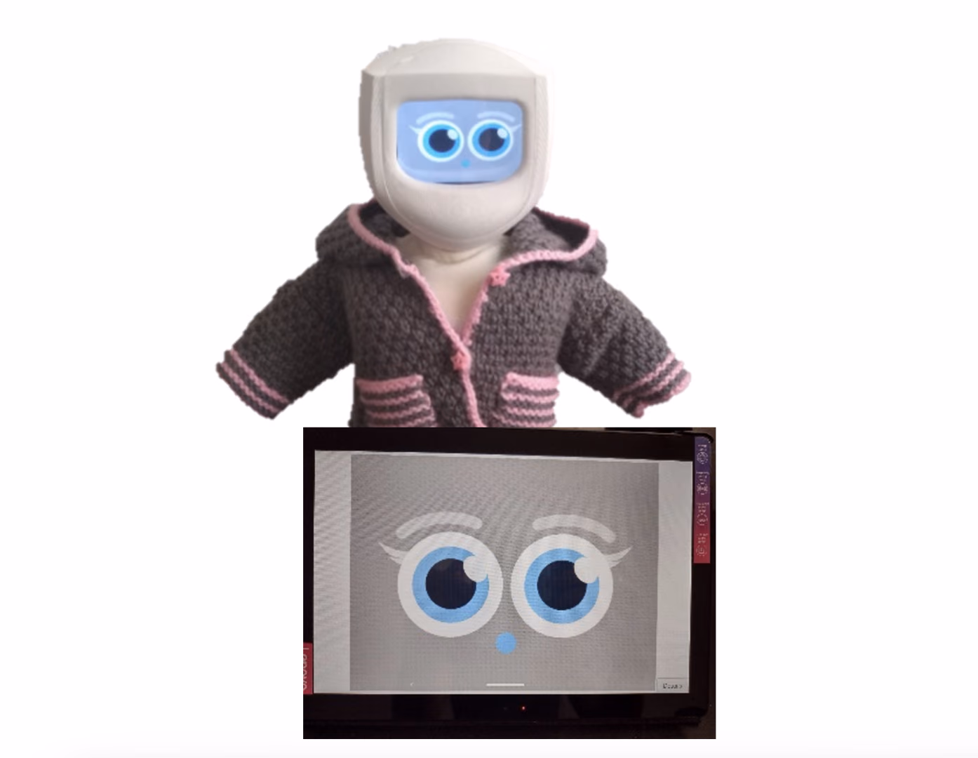 Reducing Loneliness in Mentally Healthy Senior Citizens through Robotic Companionship