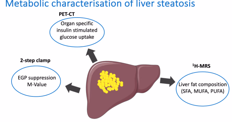 Determination of lnsulin-Stimulated whole body Glucose Uptake by PET-CT measurements