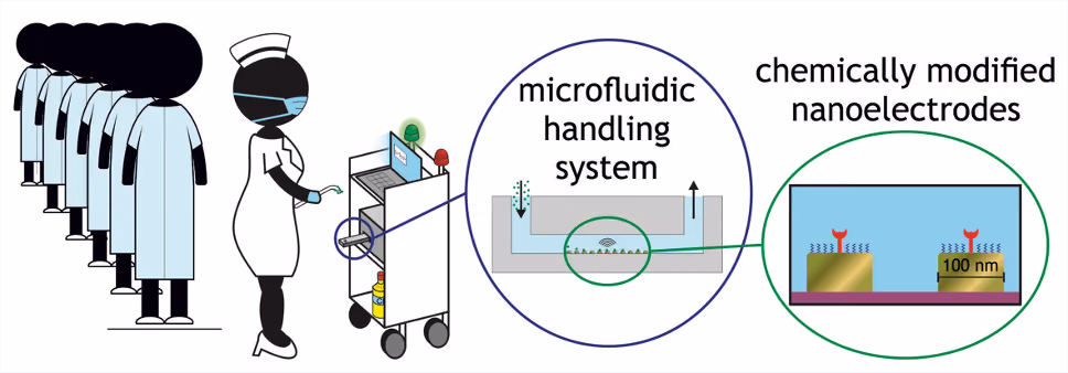 Quick, On-site Recognition of viral Objects using Nanosensing (QoroNano)