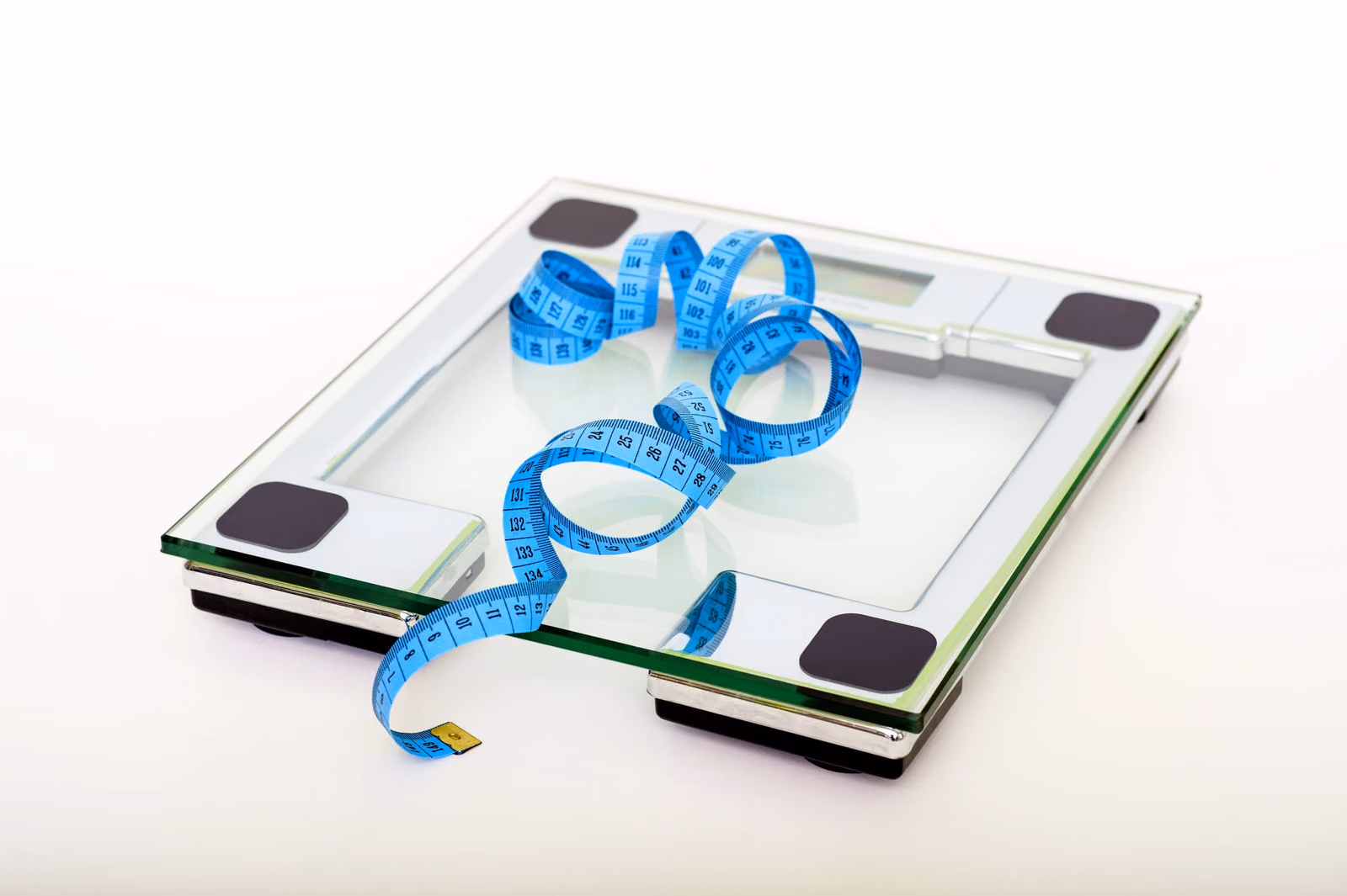 Plant-based food for weight loss