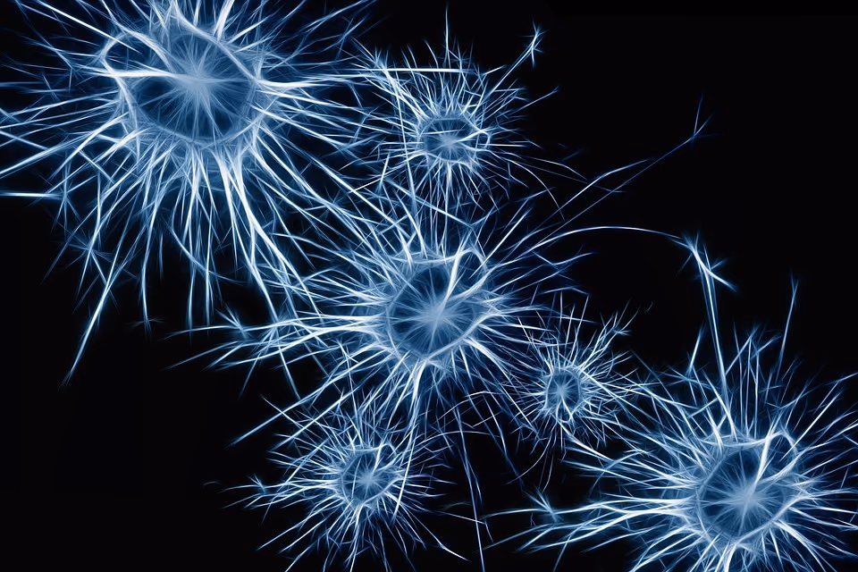 The electrical puls stimulation of nerve bundles to reduce inflammatory disease