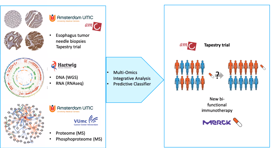 Phosphoproteomics, genomics and integrative analysis to enable precision medicine for bifunctional immunotherapy in esophageal cancer