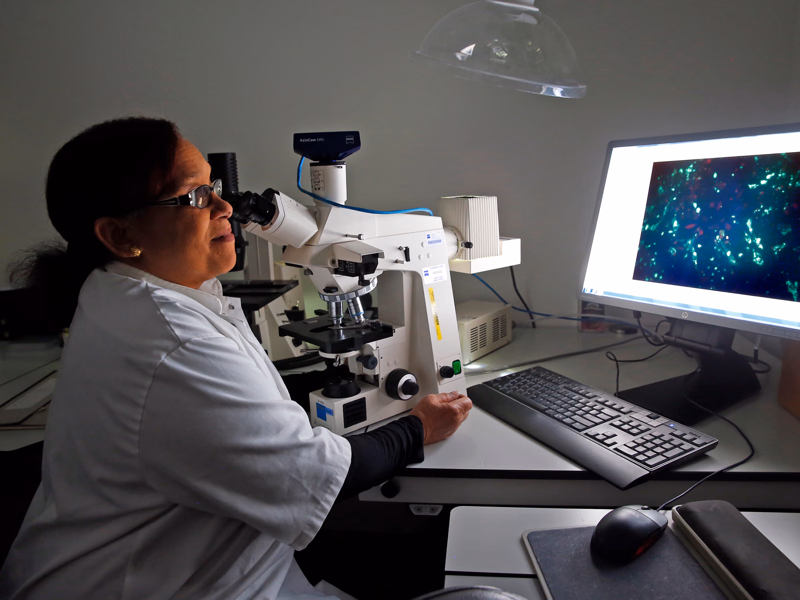 High throughput in vitro screening system for cardiac drugs, Heartchip II