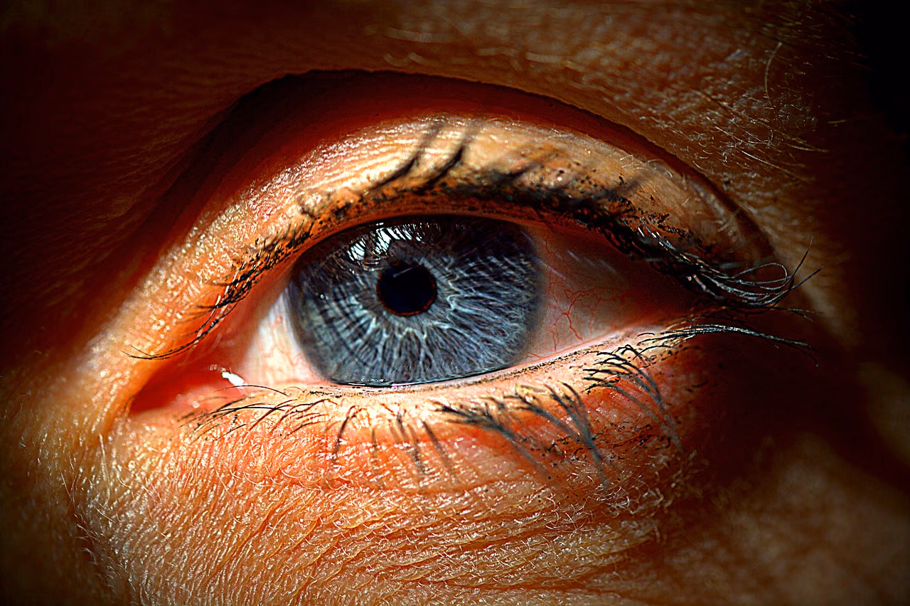 Optical Coherence Tomography-based flow measurements in retinal diseases