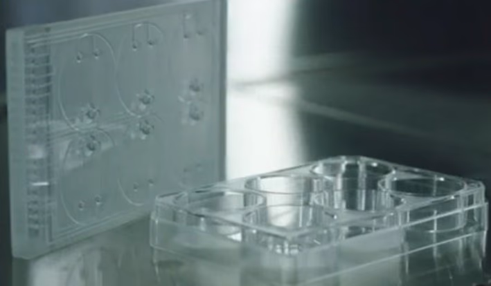 Automated Cell Culture System for cutting-edge research: Obruza