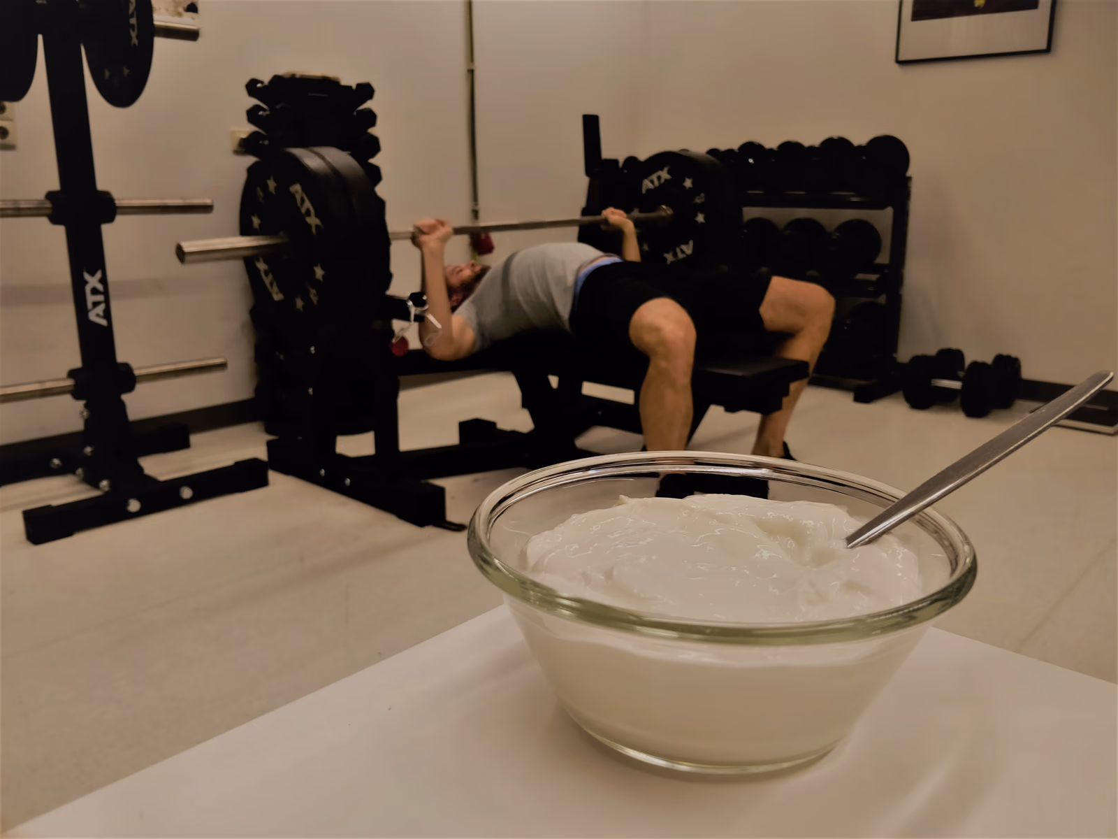 Anabolic responsiveness to fermented dairy ingestion; the Quark project