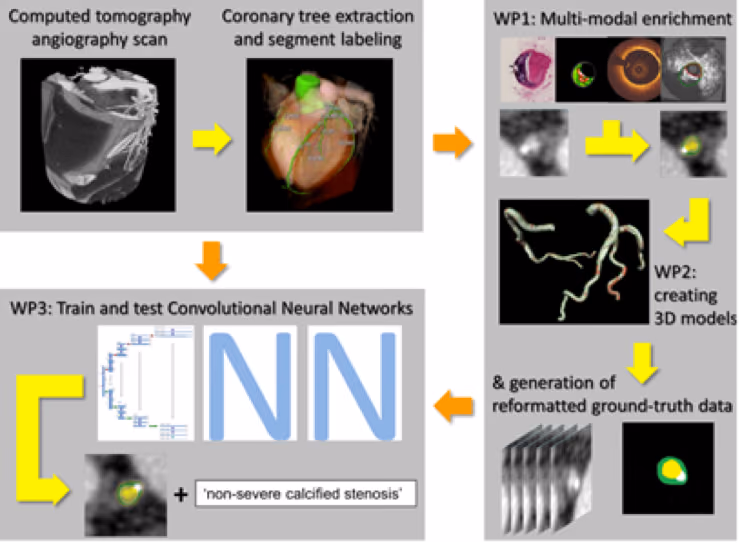 PRAGMATICS: A deep learning approach to plaque segmentation, classification and lesion phenotyping in Computed Tomography Angiographic images