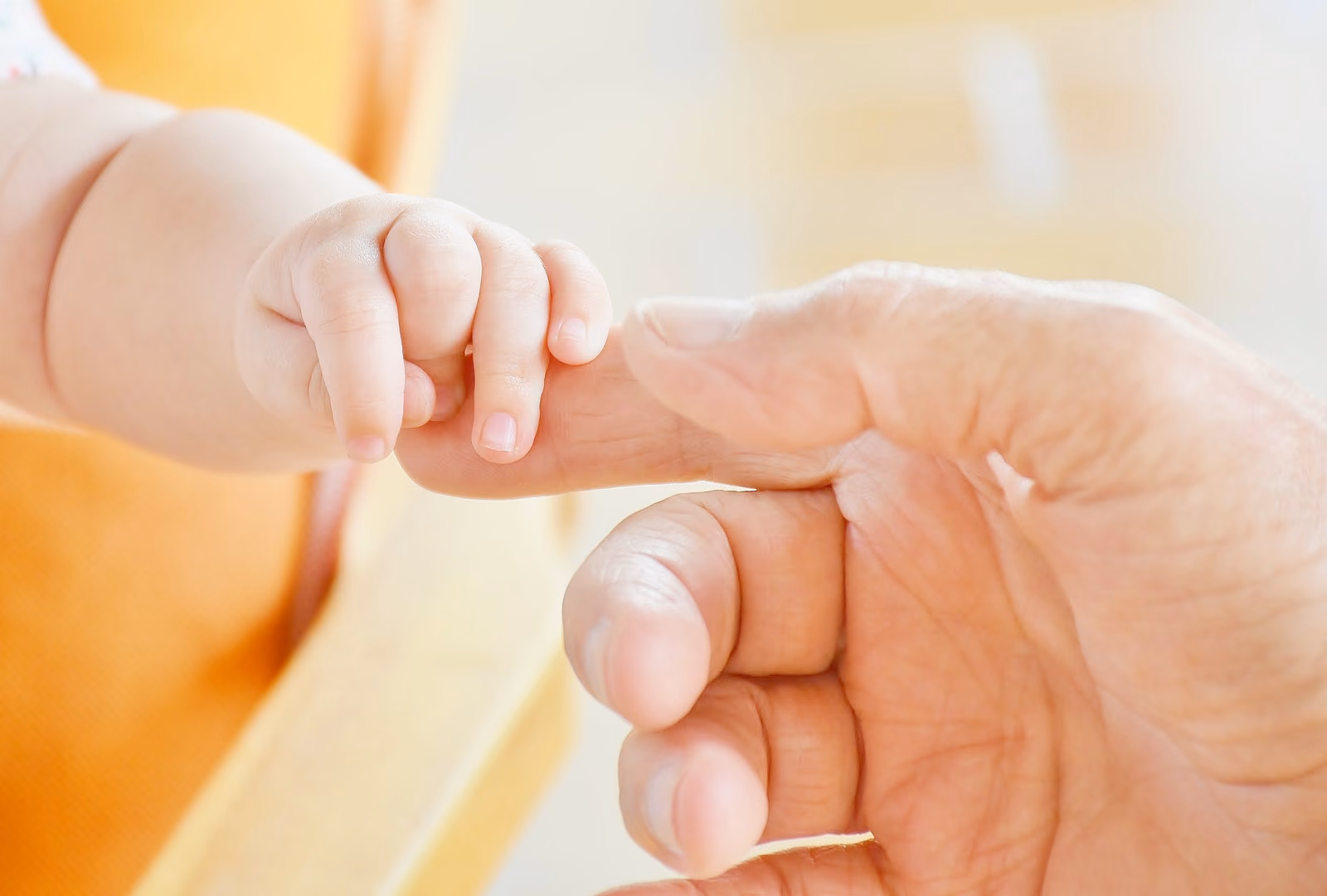 An atlas of 3D ultrasound images of human development