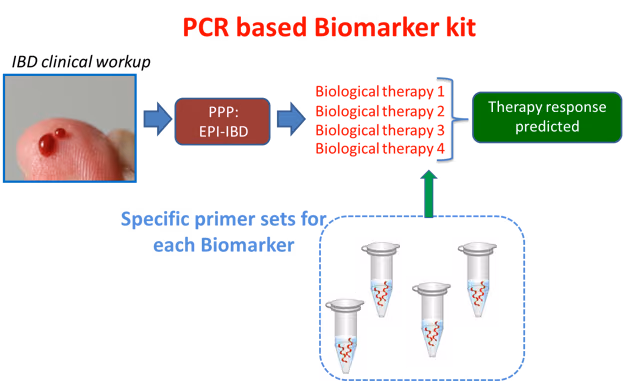 The development of predictive epigenetic biomarkers to guide successful IBD treatment