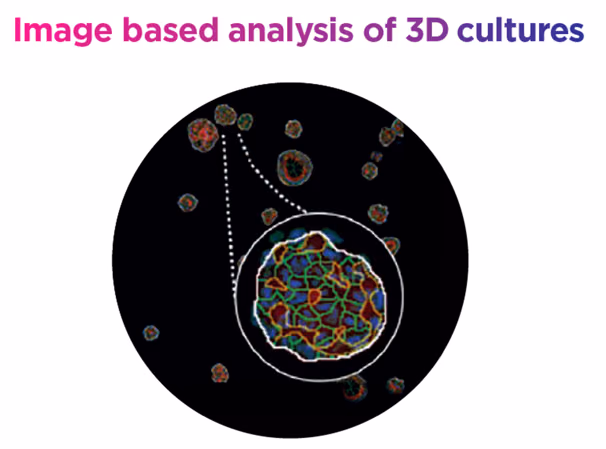 3D-smooth muscle cell morphology assay to identify personalized aortic pharmacotherapy targets for Marfan Syndrome patients