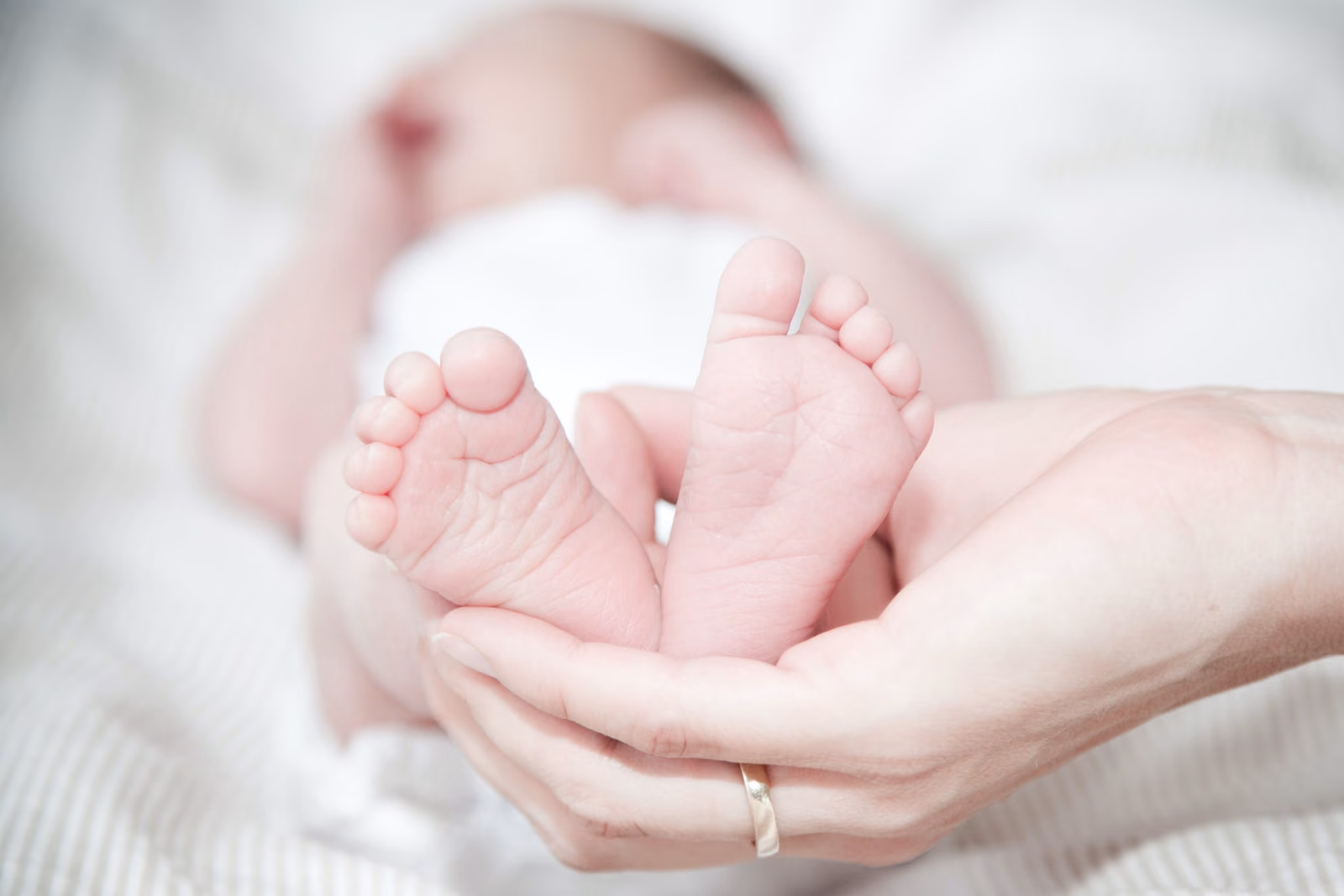 The Dolphin ‘concept’: a nutritional intervention aimed at improving neurodevelopmental outcome in infants born before 30 weeks of gestation