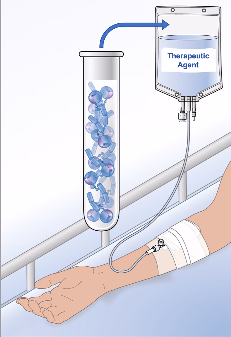 Lessons from nature: engineering serine proteases for therapeutic purposes