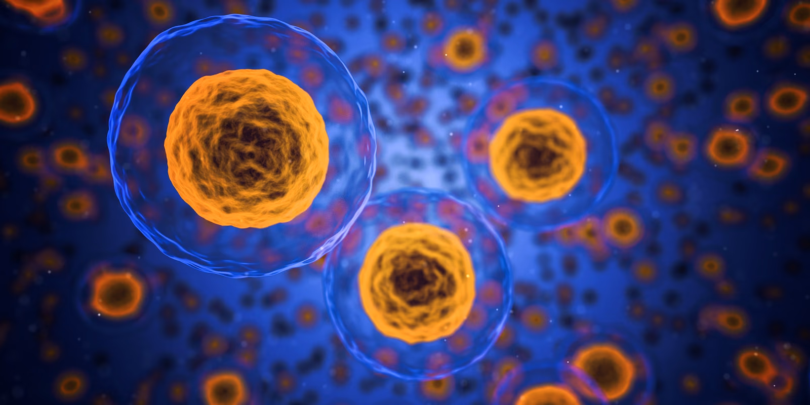 Cell vitrification to enable the study of structure and dynamics of macromolecular complexes within their native environment