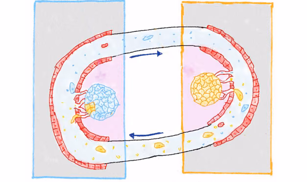 How do tumors communicate with other organs to cause metastasis?