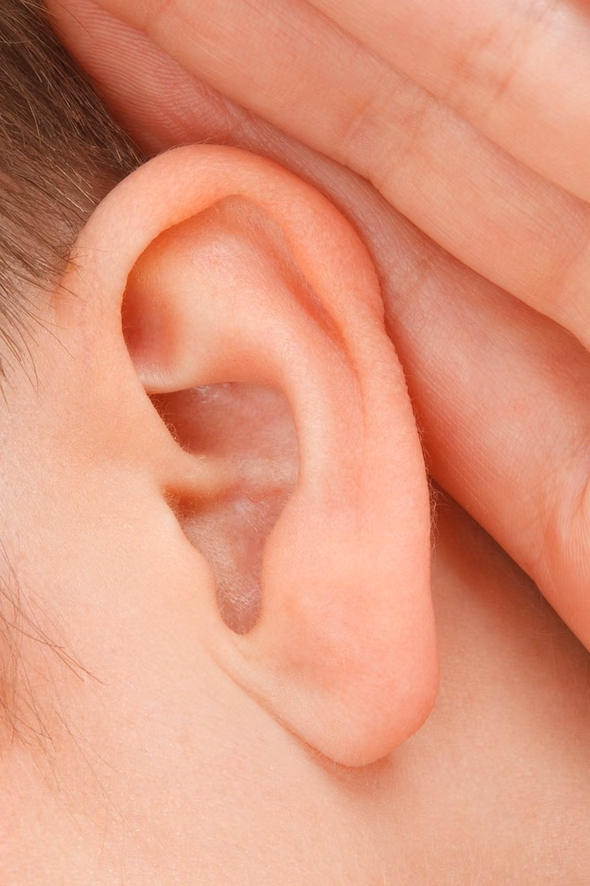 Hear@Work: Studies on the fundamentals and needs for a new eHealth tool aimed at empowering adults with hearing difficulties in the workforce