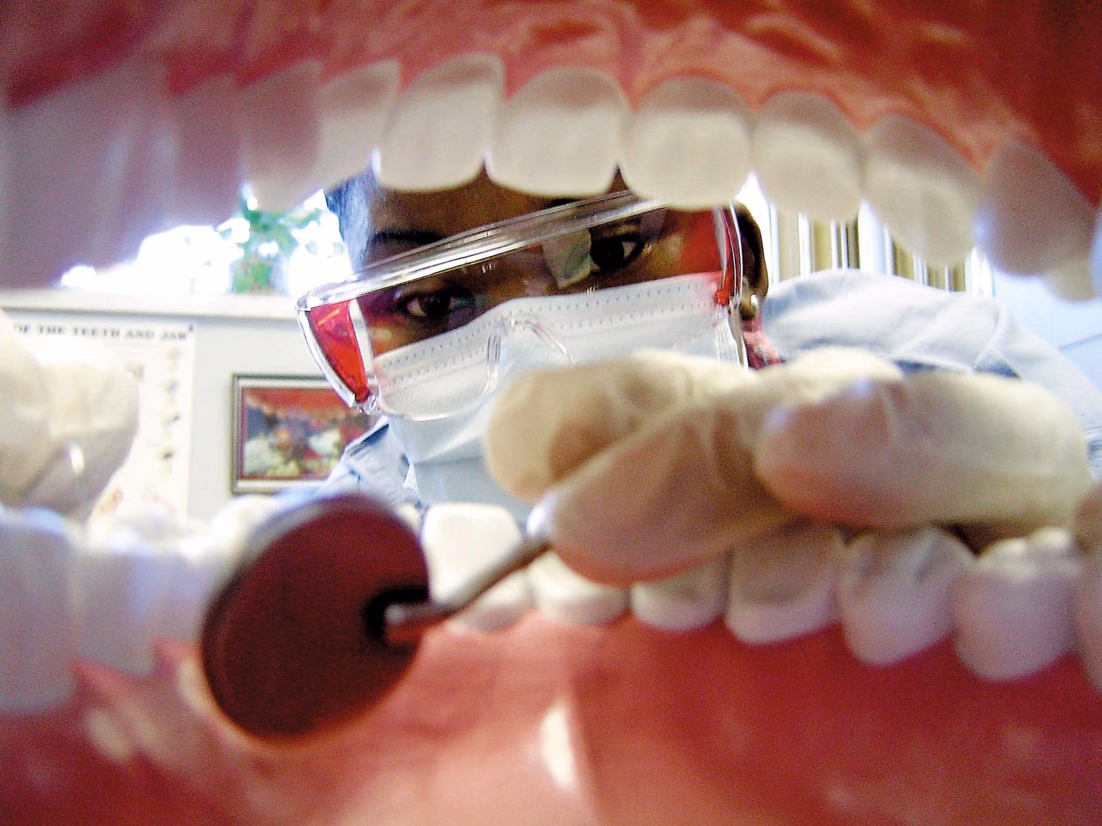 Modulation of the oral ecosystem