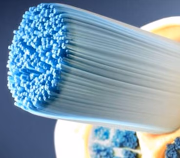 Development of electrical probes for spleen and mesenteric nerve stimulation