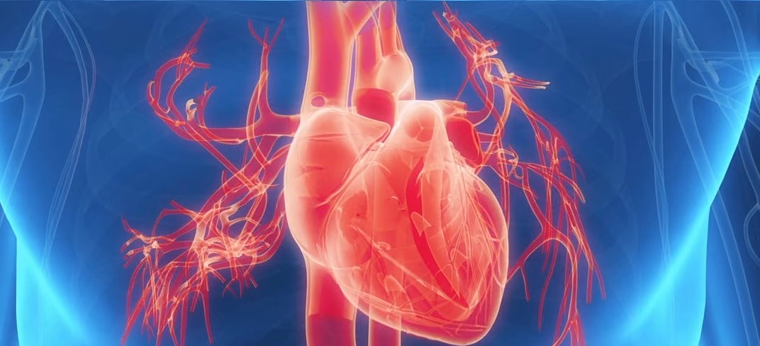 Deep Learning for fully automated cardiac tissue classification from dynamic cardiac MR and CT imaging