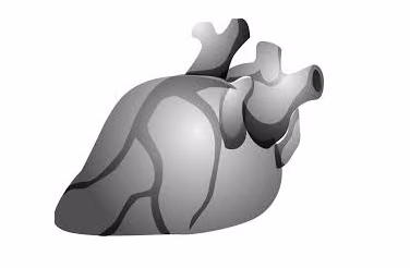 Pre-emptive stenting of vulnerable non-obstructive coronary lesions