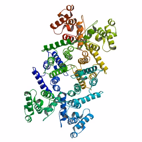 Development of antisense oligonucleotide exon skipping strategies for the treatment of genetic diseases