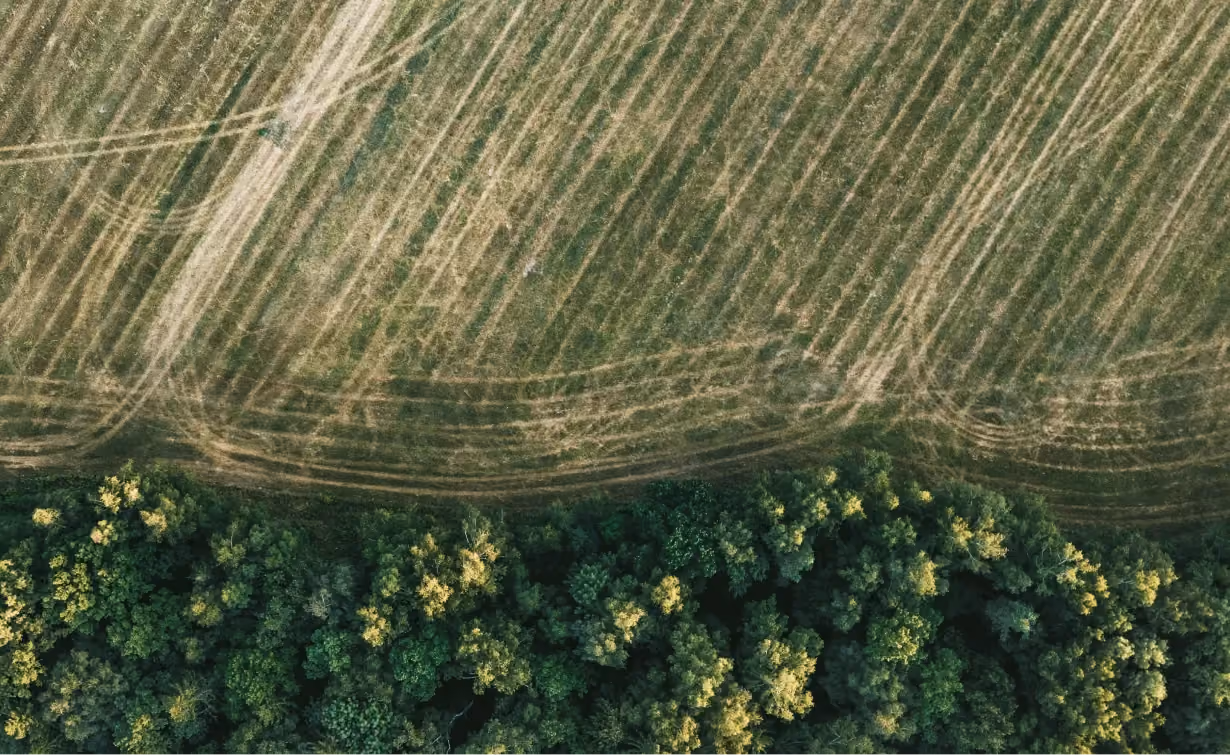 Artikel zu Carbon Neutral und Net Zero