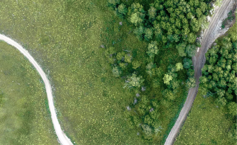 Definition von Climate Transition Plan und Einordnung in die CSRD