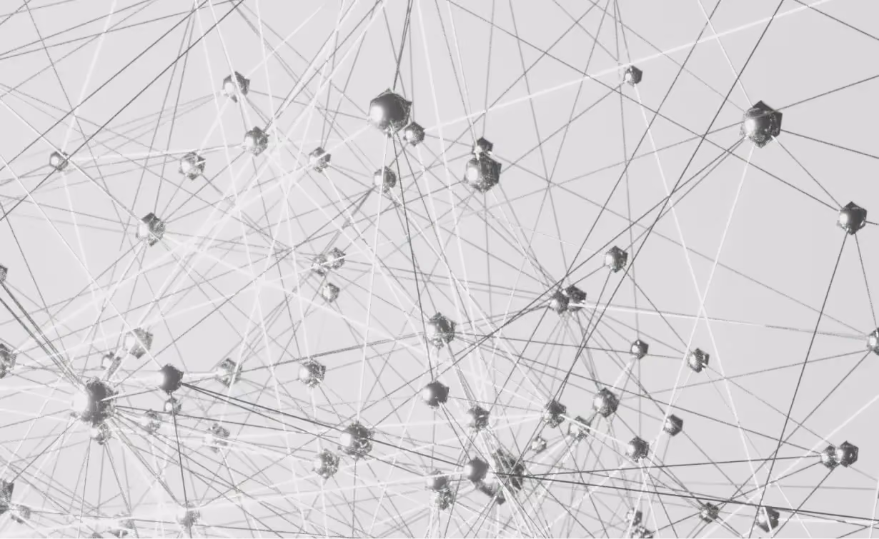 Artikel zu CSRD, EcoVadis & CDP
