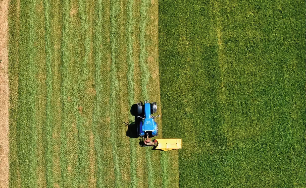 Artikel zu FLAG-Standard 2026: Neue Regeln für Landnutzung, CO₂-Entnahmen und Emissionsbilanzierung