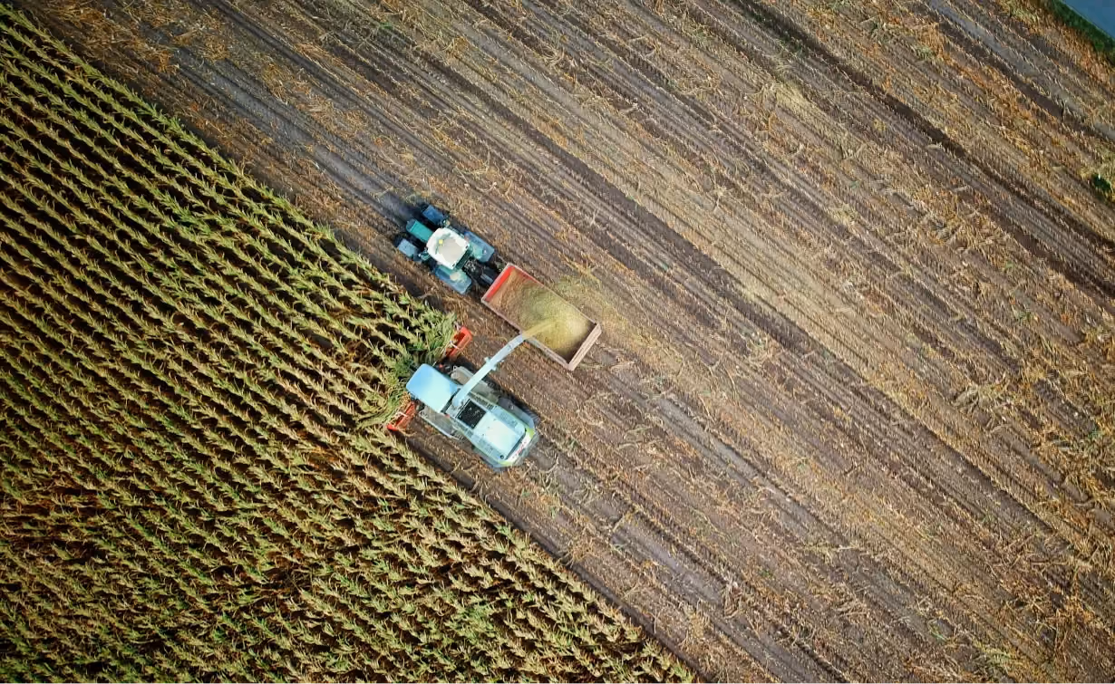 Artikel zu FLAG Emissionen