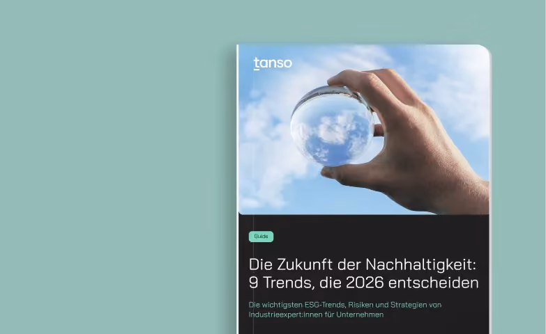 9 Nachhaltigkeitstrends & Prognosen für 2026
