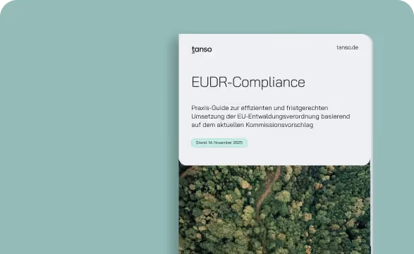 Guide zur EUDR - mit Experteninsights und Empfehlungen für betroffene Unternehemen