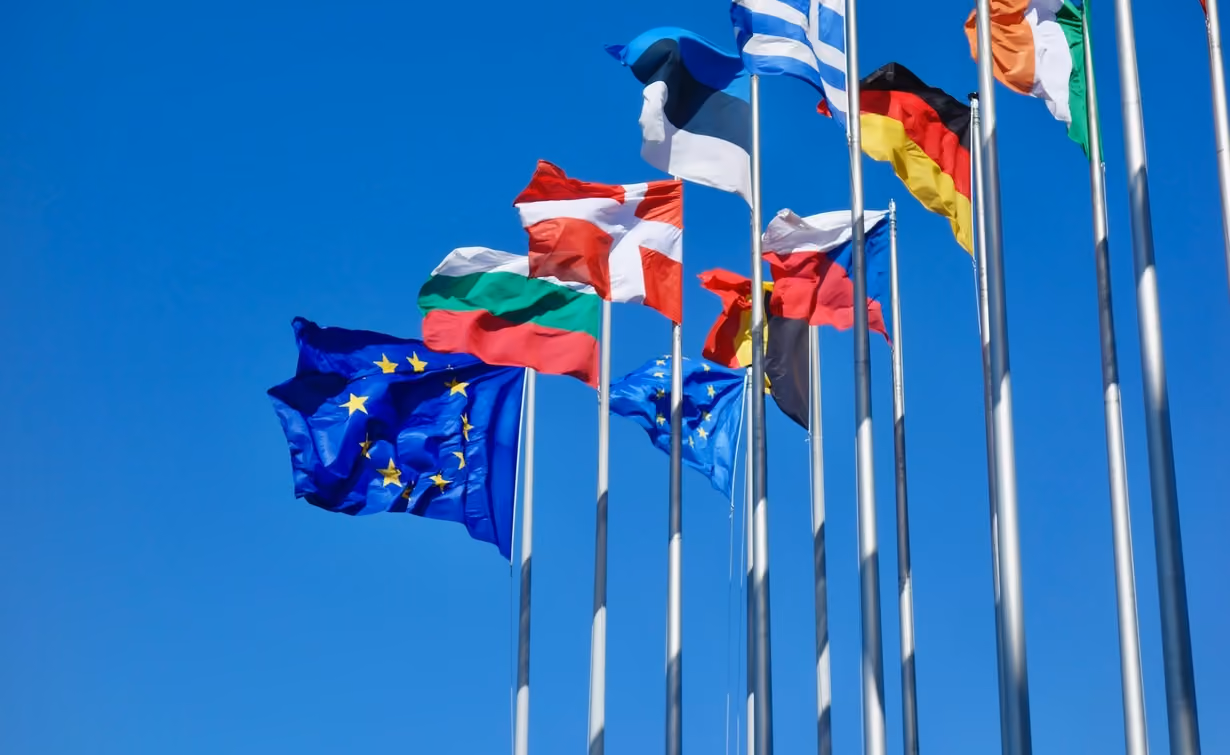 EU flag and European countries flags