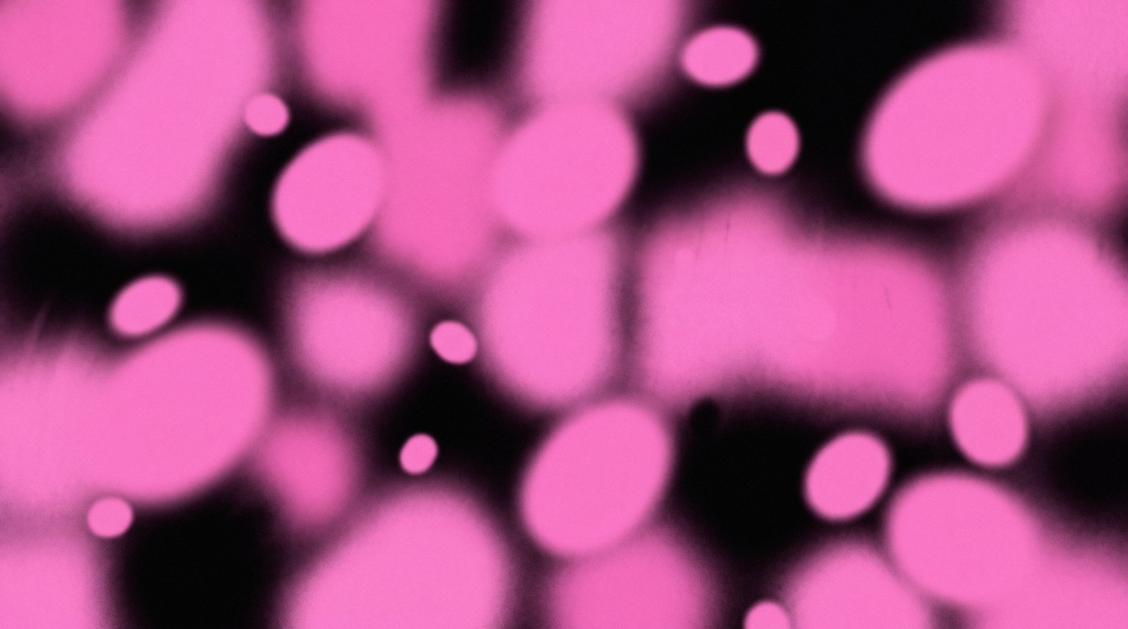 Soft pink abstract shapes against a black background