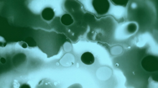 Soft green and cyan abstract liquid shapes