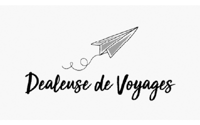 Dessin d'un avion en papier gris volant au-dessus du texte manuscrit « Dealeuse de Voyages » sur fond blanc.